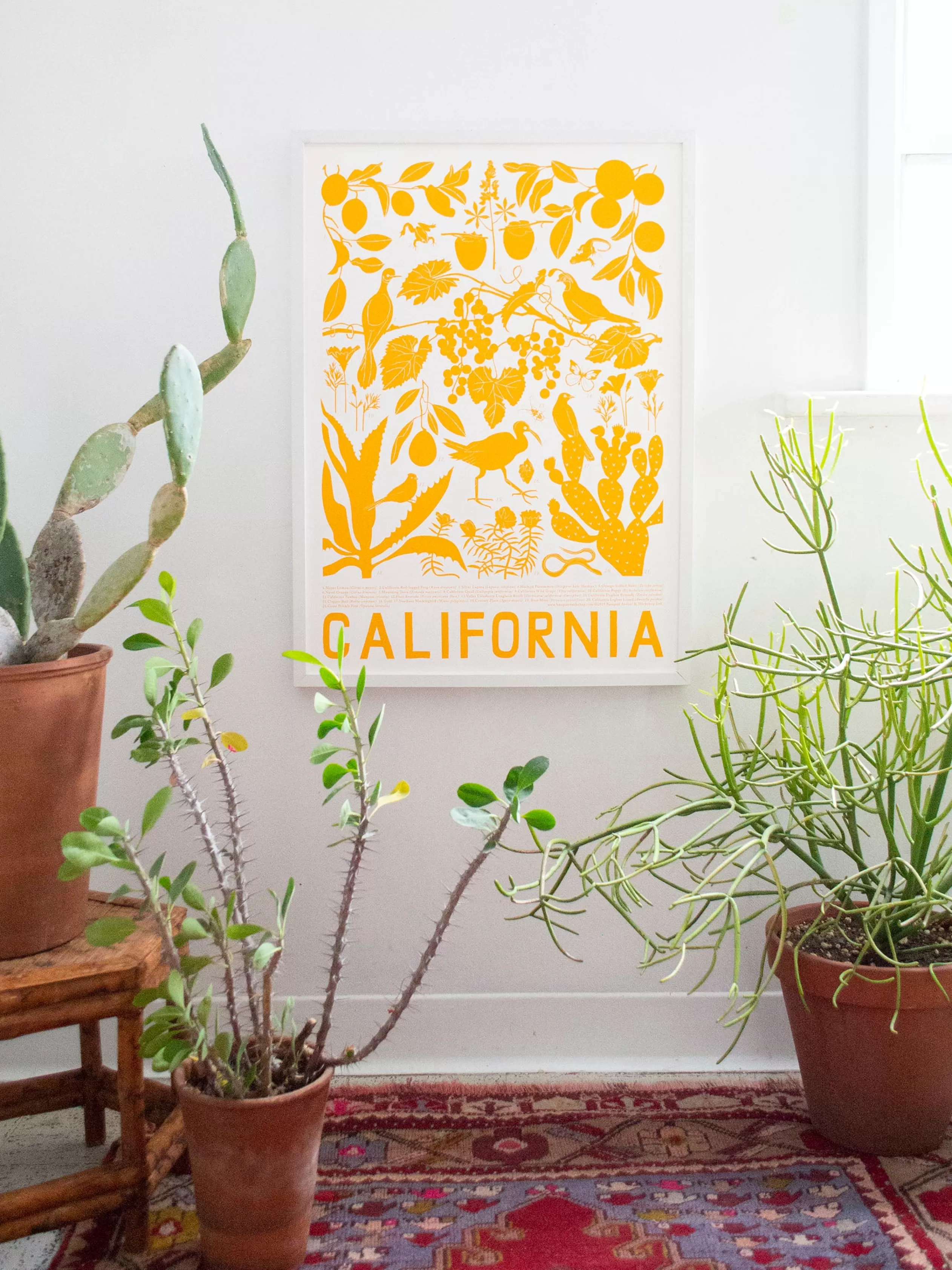 California Screen Print<Banquet Workshop Clearance