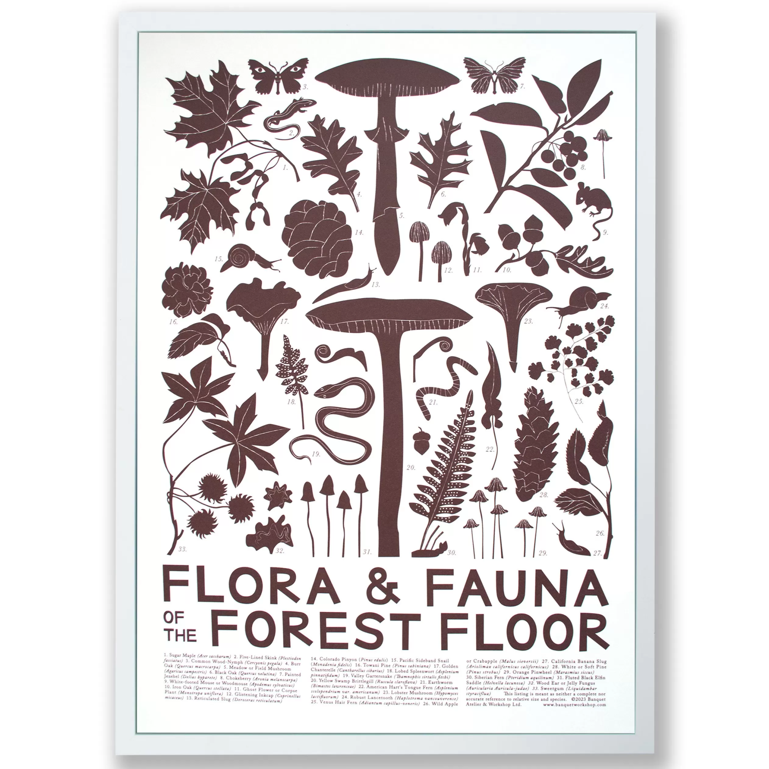 Flora & Fauna: Forest Floor Screeprint<Banquet Workshop Hot