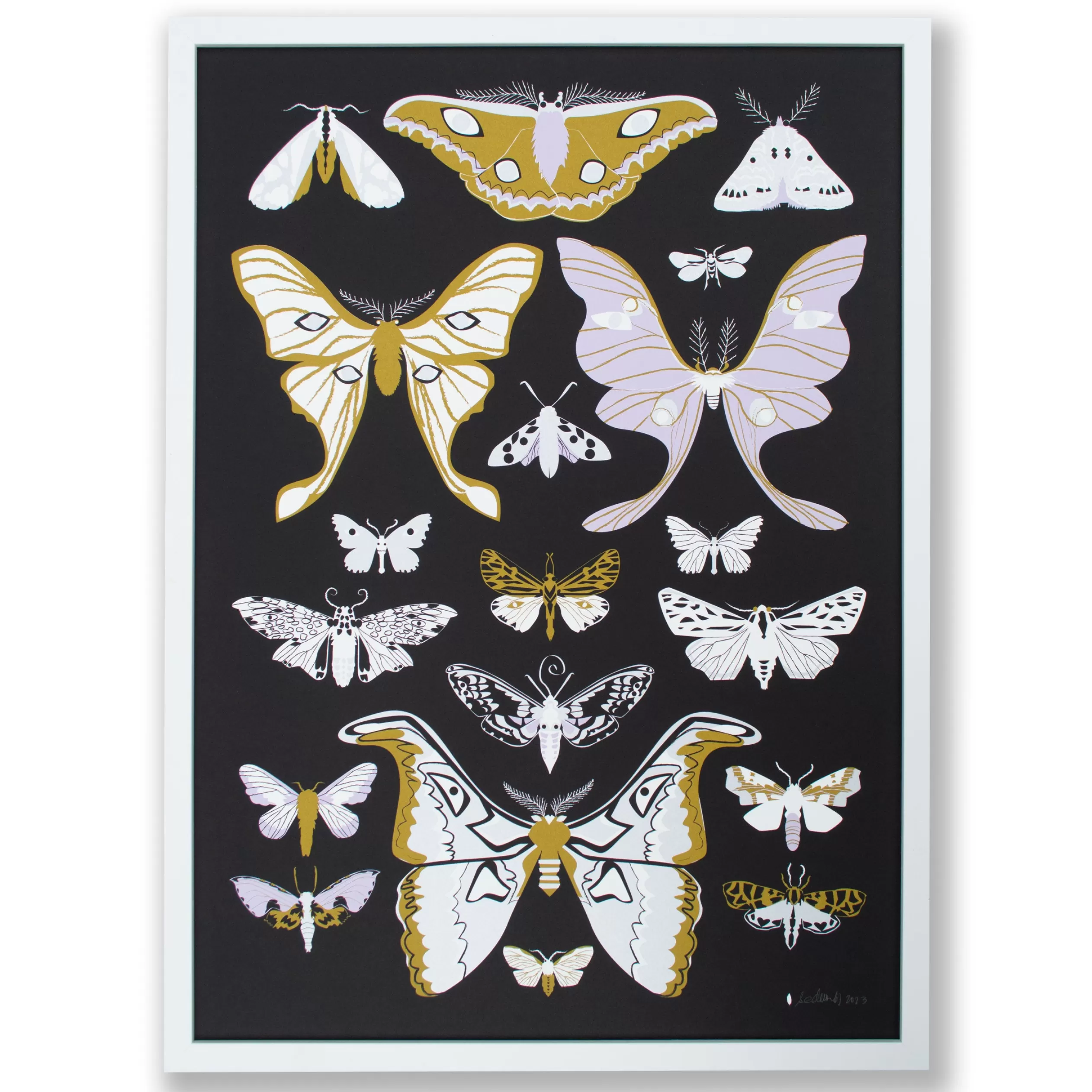 Moths Signed Poster<Banquet Workshop Flash Sale