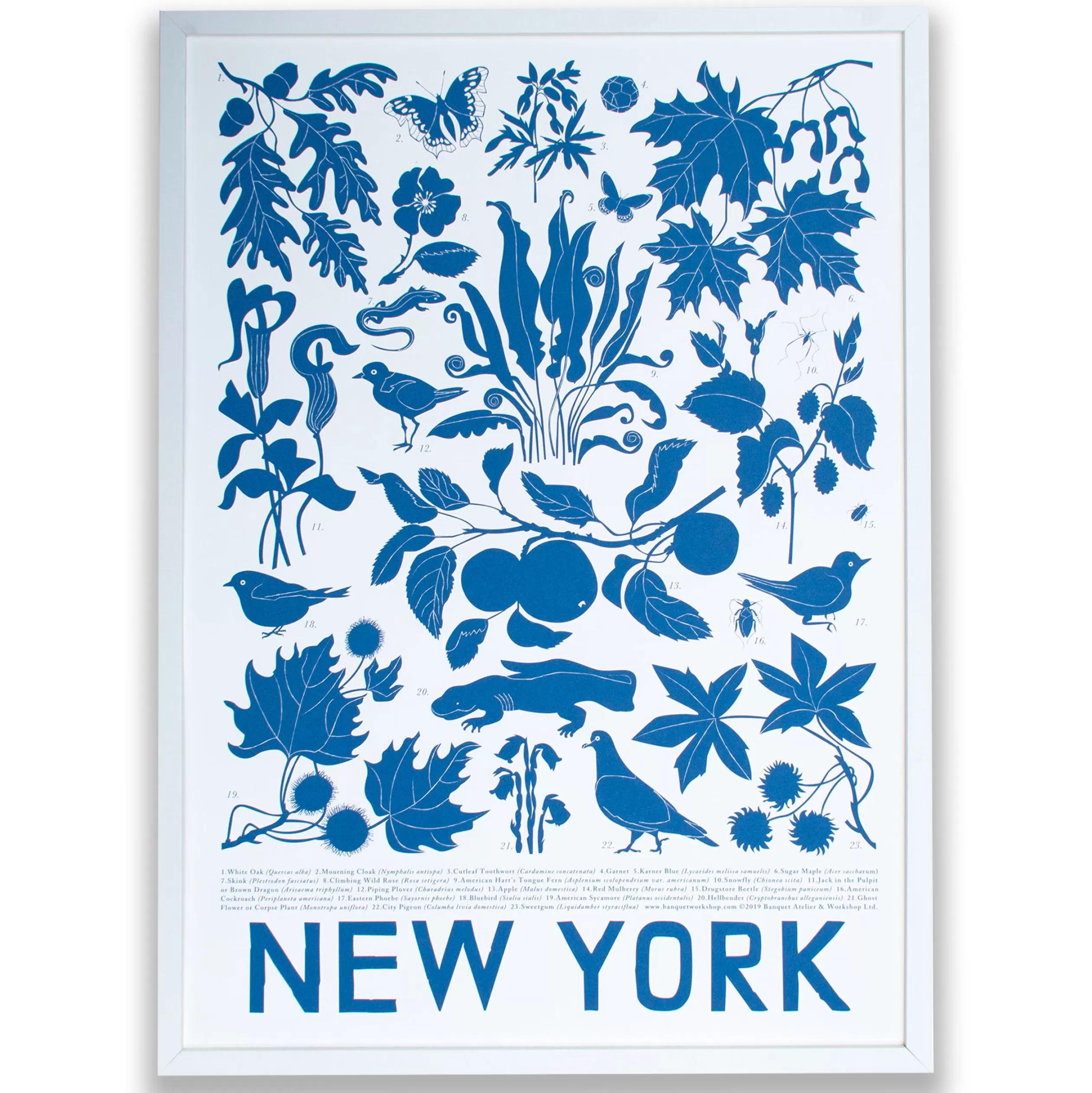 New York Screen Print<Banquet Workshop Fashion