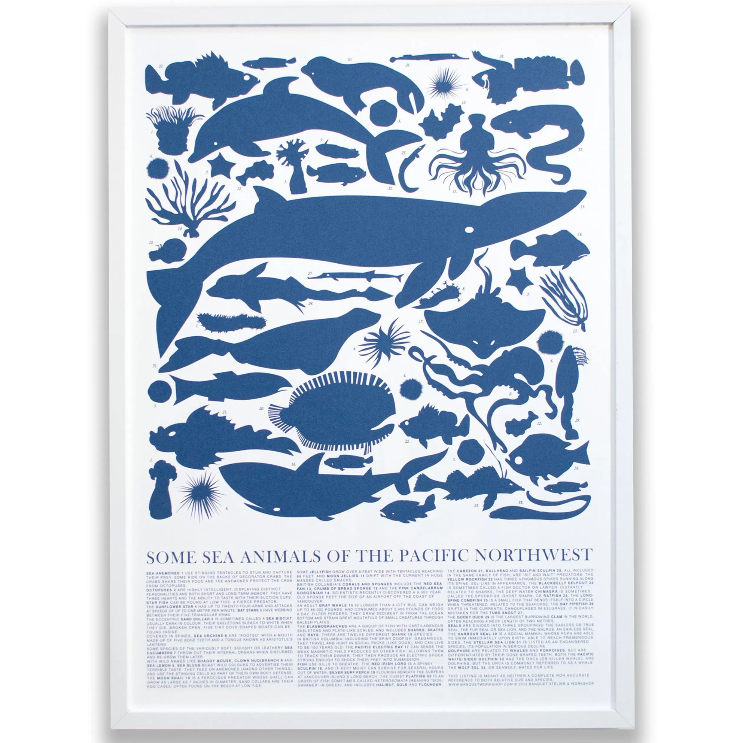 Print - Blue Sea Animals Of The Pacific Northwest Poster<Banquet Workshop Outlet